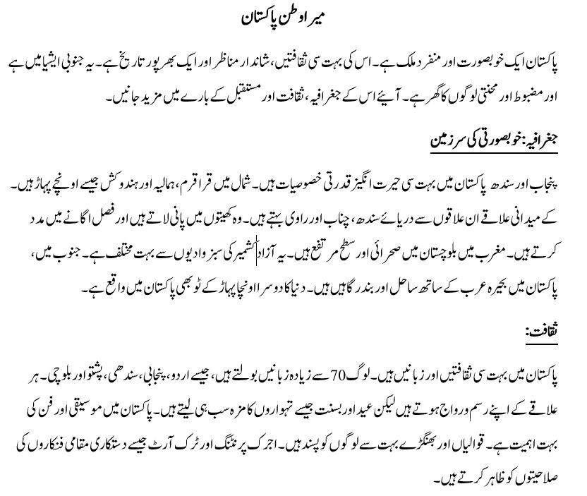 Mera Watan Essay in Urdu