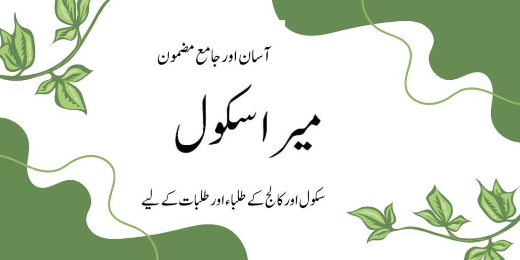 mera school essay in urdu