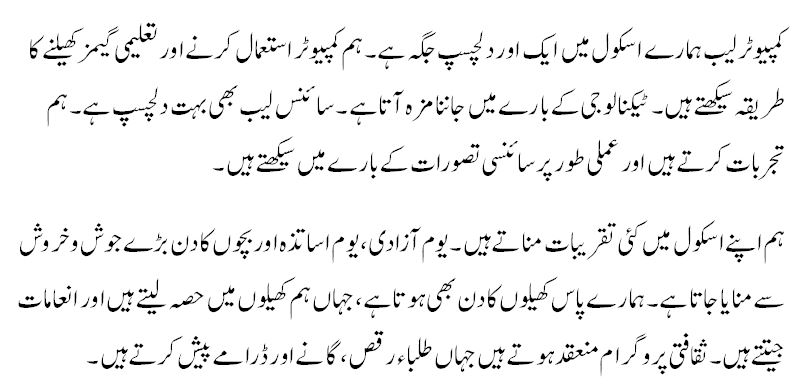 mera school essay in urdu